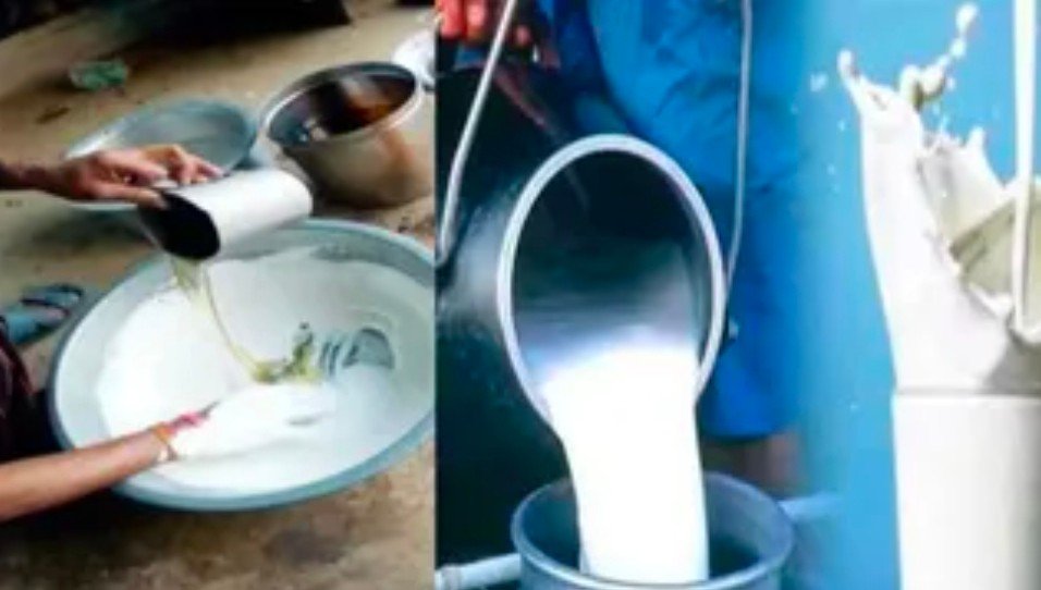 चम्पावत में रोजाना कहां गायब हो रहा 400 लीटर दूध, दुग्ध समितियों के लिए सिर दर्द बनी ये पहेली