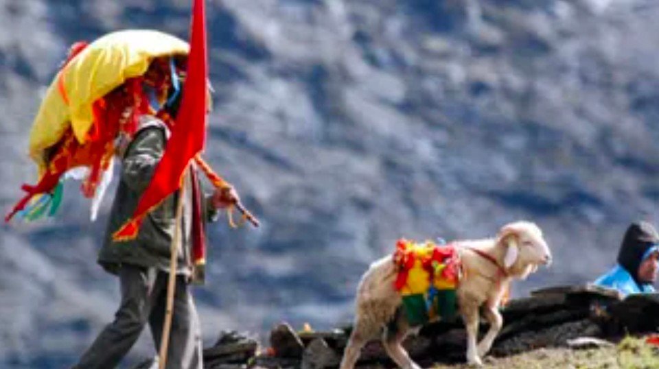 चमोली के कुरुड़ स्थित नंदा धाम से मां नंदा देवी की 12 वर्षीय बड़ी जात यात्रा आज से कैलास के लिए शुरू