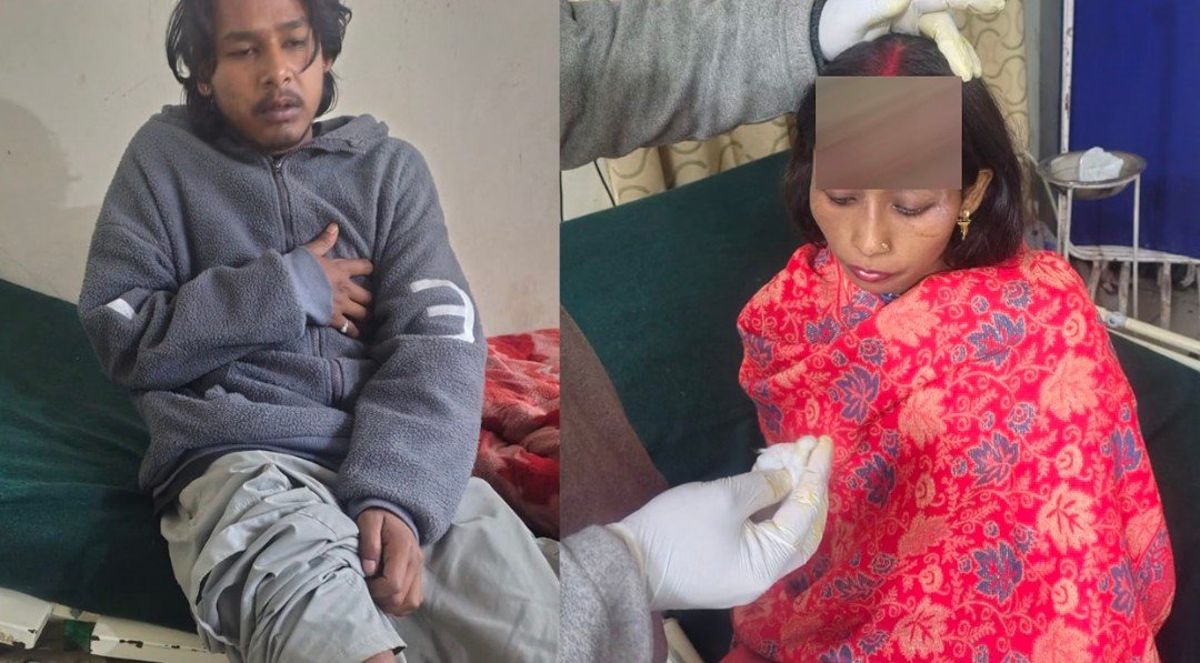चमोली के ज्योतिर्मठ में भालू का आतंक, गाय को मारा, बचाने पहुंचे लोगों पर किया हमला, अस्पताल में भर्ती