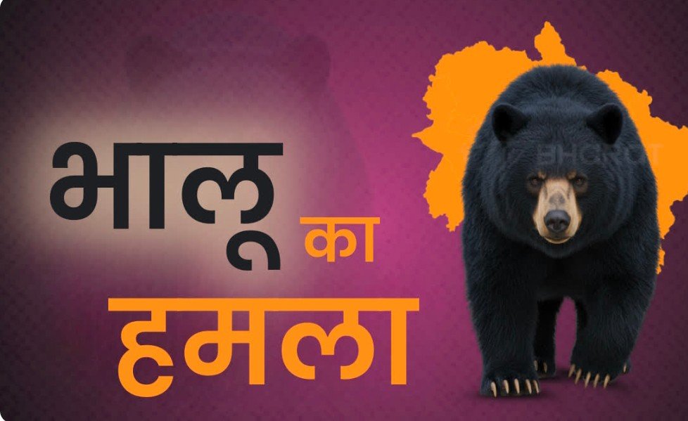 पिथौरागढ़ के नाचनी क्षेत्र में भालू के हमले में ग्रामीण लहूलुहान, भालू पर दराती से वार कर भागने पर किया मजबूर