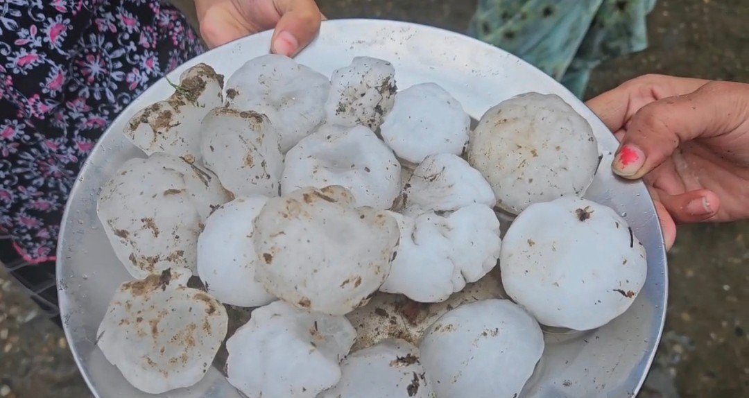 हरिद्वार में आंधी-बारिश ने नहीं 500 ग्राम के ओलों ने मचाई तबाही, फसलें बर्बाद, वाहन क्षतिग्रस्त