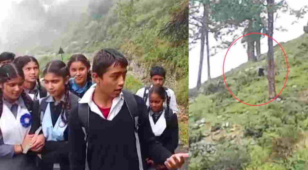 चमोली में स्कूल जा रहे थे बच्चे, सामने आया भालू, जान बचाकर दौड़े बच्चे